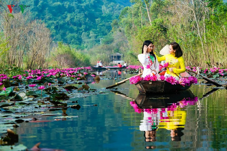 Suối Yến đẹp l&atilde;ng mạn m&ugrave;a hoa s&uacute;ng nở - Ảnh 9.