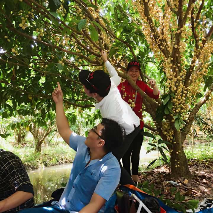V&agrave;o m&ugrave;a tr&aacute;i c&acirc;y, du lịch miệt vườn h&uacute;t kh&aacute;ch - Ảnh 2.