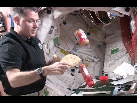 Video: Nhà du hành vũ trụ làm bánh sandwich trong không gian