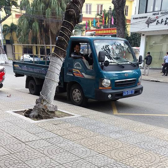 Đà Nẵng phạt tiền xe biển xanh đậu sai quy định