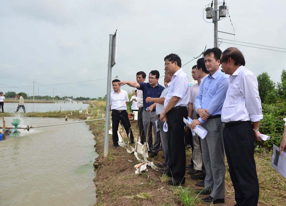 Cần sớm nhân rộng mô hình tiết kiệm điện trong nuôi tôm tại Sóc Trăng - Ảnh 1.
