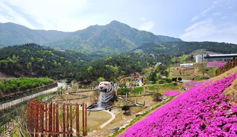 Vẻ đẹp của qu&ecirc; hương HLV Park Hang Seo - Ảnh 13.