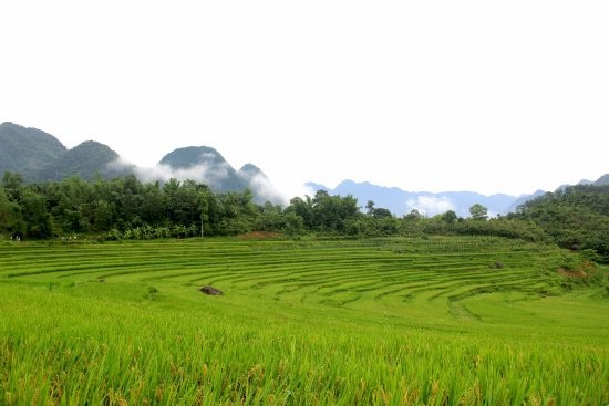 Về qu&ecirc; thủ m&ocirc;n Tiến Dũng: Ăn g&igrave;, chơi đ&acirc;u? - Ảnh 3.