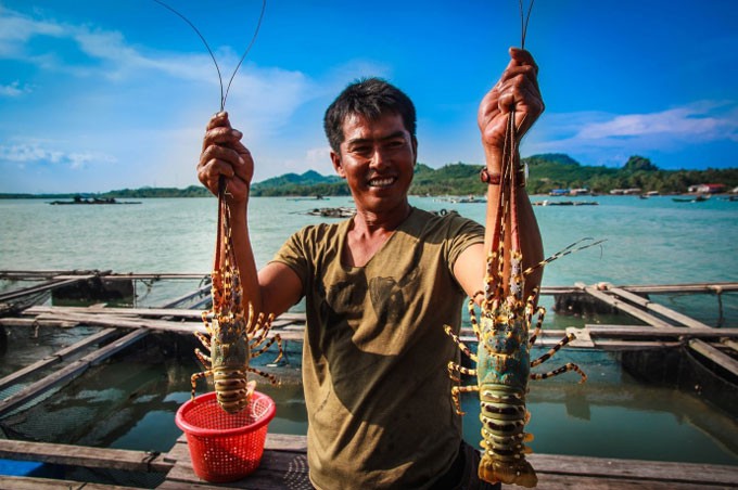 Tr&uacute;ng đậm t&ocirc;m h&ugrave;m - Ảnh 1.