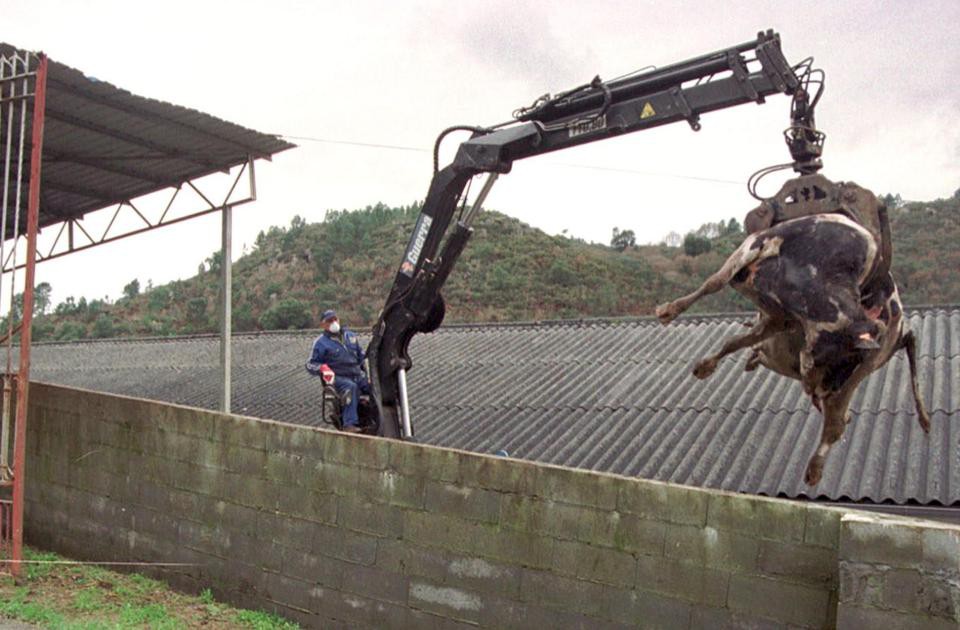 Nguy cơ dịch &ldquo;x&aacute;c sống&rdquo; l&acirc;y sang người - Ảnh 3.