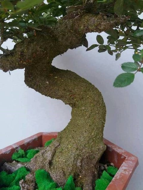 Độc, lạ hoa hồng giả cổ gi&aacute; 1 triệu đồng/c&acirc;y ch&aacute;y h&agrave;ng dịp Tết - Ảnh 2.
