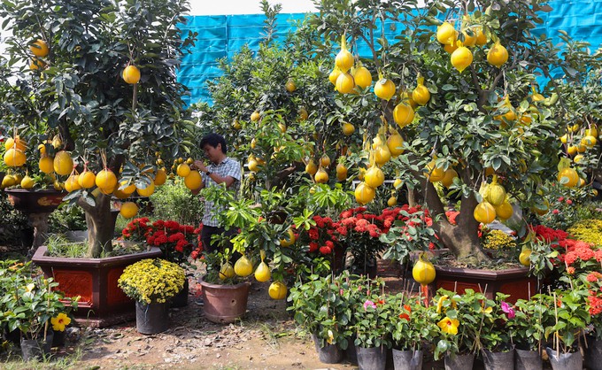 Dự báo thời tiết Tết Nguyên Đán 2018