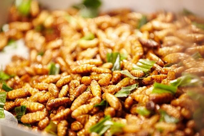 Món ngon nhắc đến là thèm ở Mù Cang Chải - Ảnh 4.