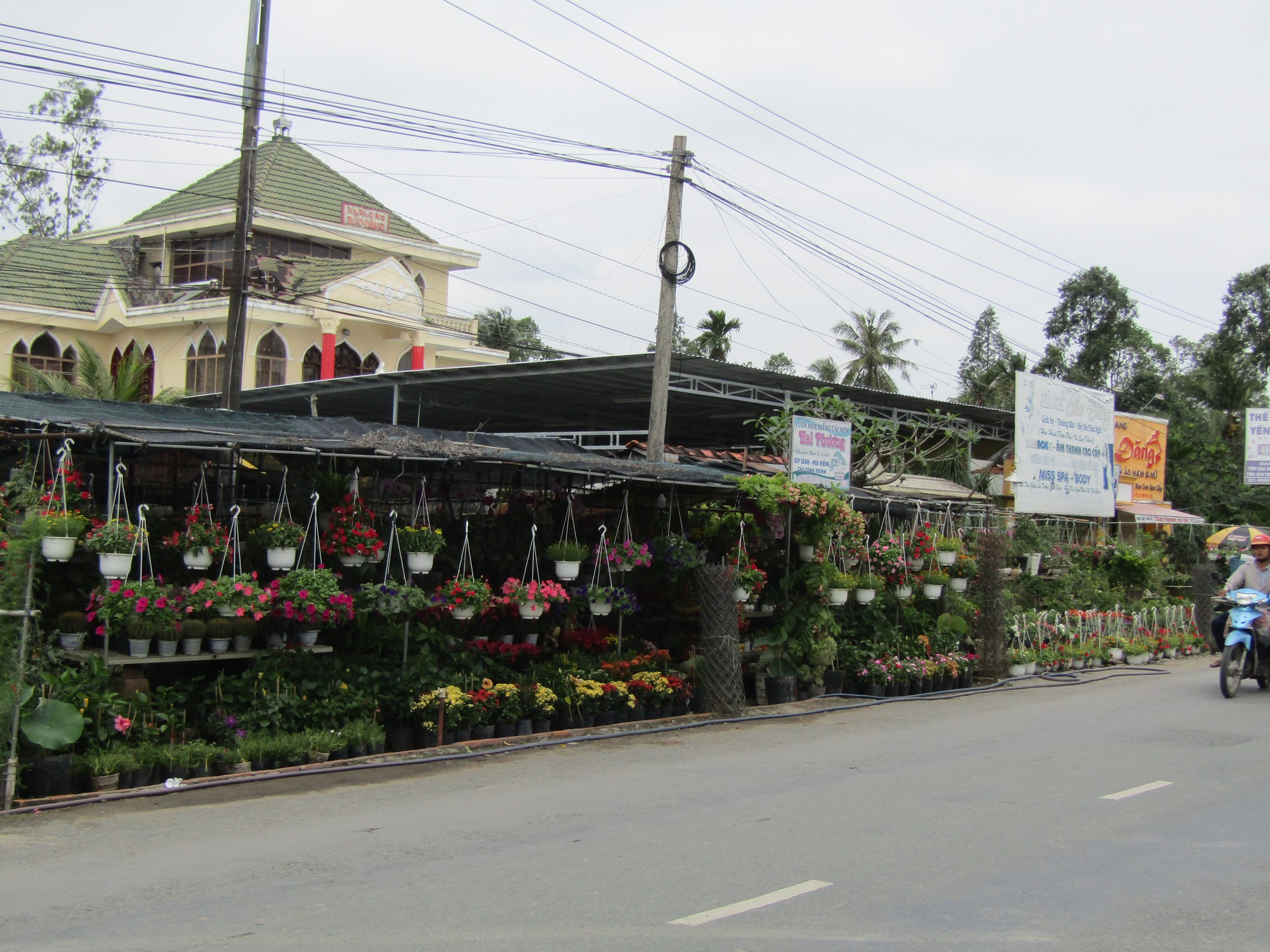 Cái Mơn bao la tỉ phú - Ảnh 2.