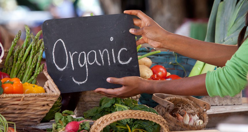 Thực phẩm organic nở rộ ở thị trường "nhà giàu"