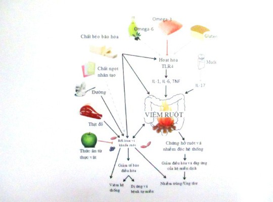 Cảnh báo bệnh liên quan đến tình dục và ăn uống - Ảnh 2.