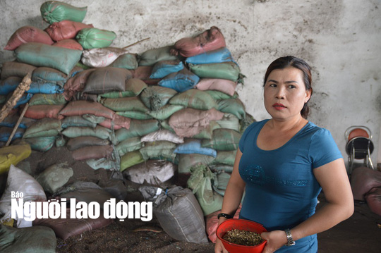 Diễn biến mới vụ nhuộm than pin vào tạp chất để trộn vào hồ tiêu - Ảnh 3.