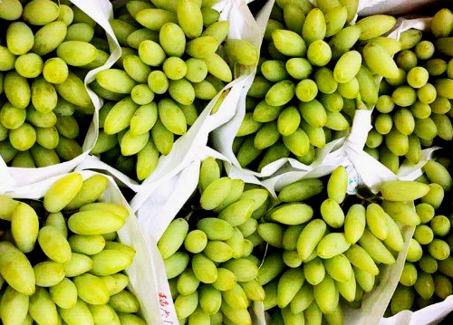 Nho ngón tay vàng Nhật Bản giá hơn 1,5 triệu mỗi kg - Ảnh 1.