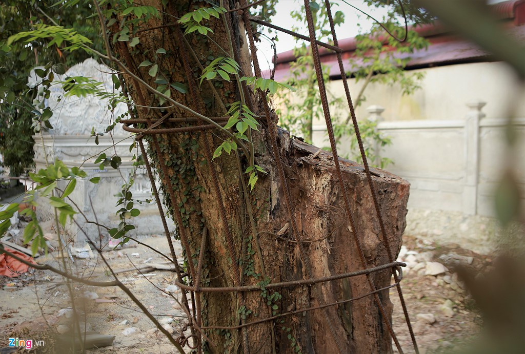 L&yacute; lịch chi tiết của bảo vật c&oacute; gi&aacute; 50 tỉ ở ch&ugrave;a Vĩnh Ph&uacute;c - Ảnh 3.