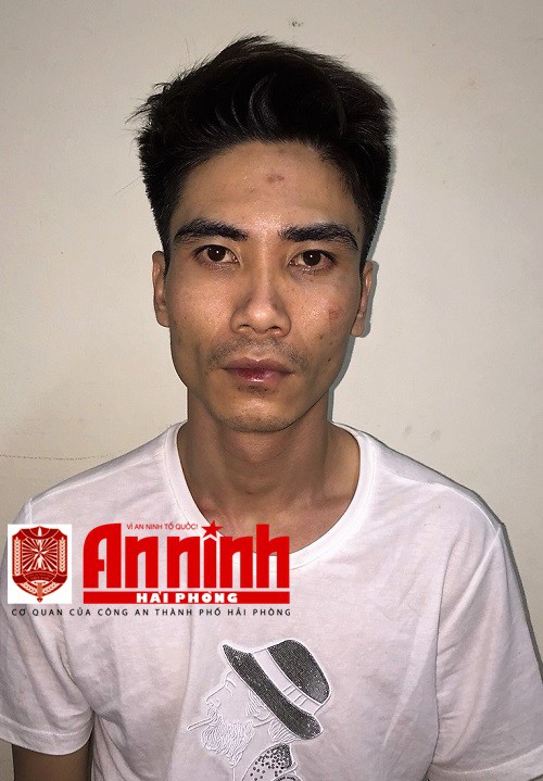 Những trái bưởi chết người từ TP HCM gửi ra Hải Phòng - Ảnh 5.