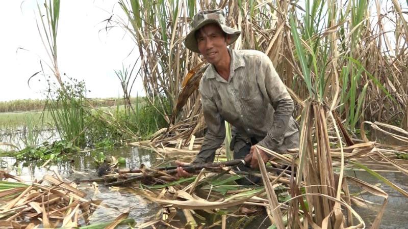 Sụt lún gây hậu quả nghiêm trọng