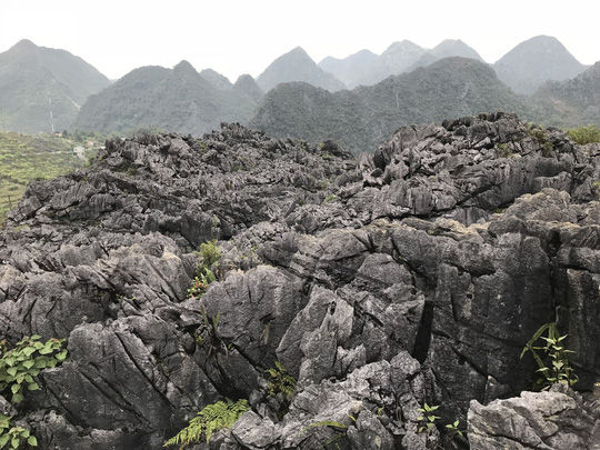 Th&aacute;ng 10 đ&atilde; đến, đừng lỡ hẹn với tam gi&aacute;c mạch H&agrave; Giang - Ảnh 12.
