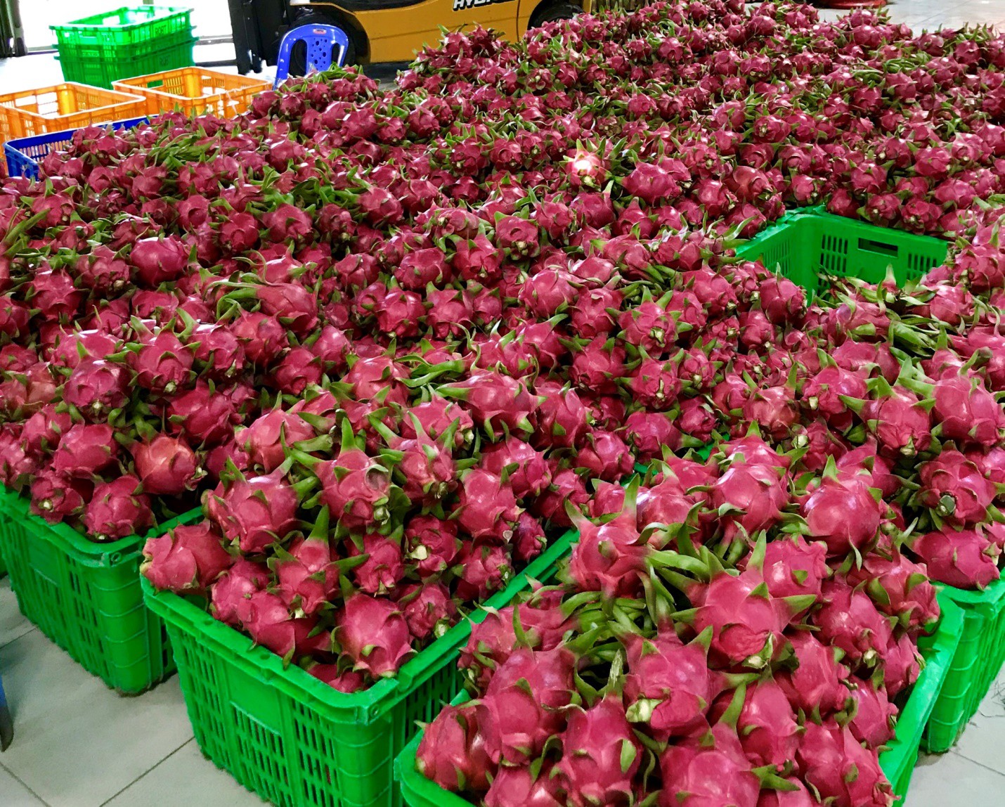 MM Mega Market “giải cứu” hơn 100 tấn thanh long
