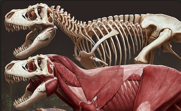 Tiết lộ gây sốc về khủng long bạo chúa