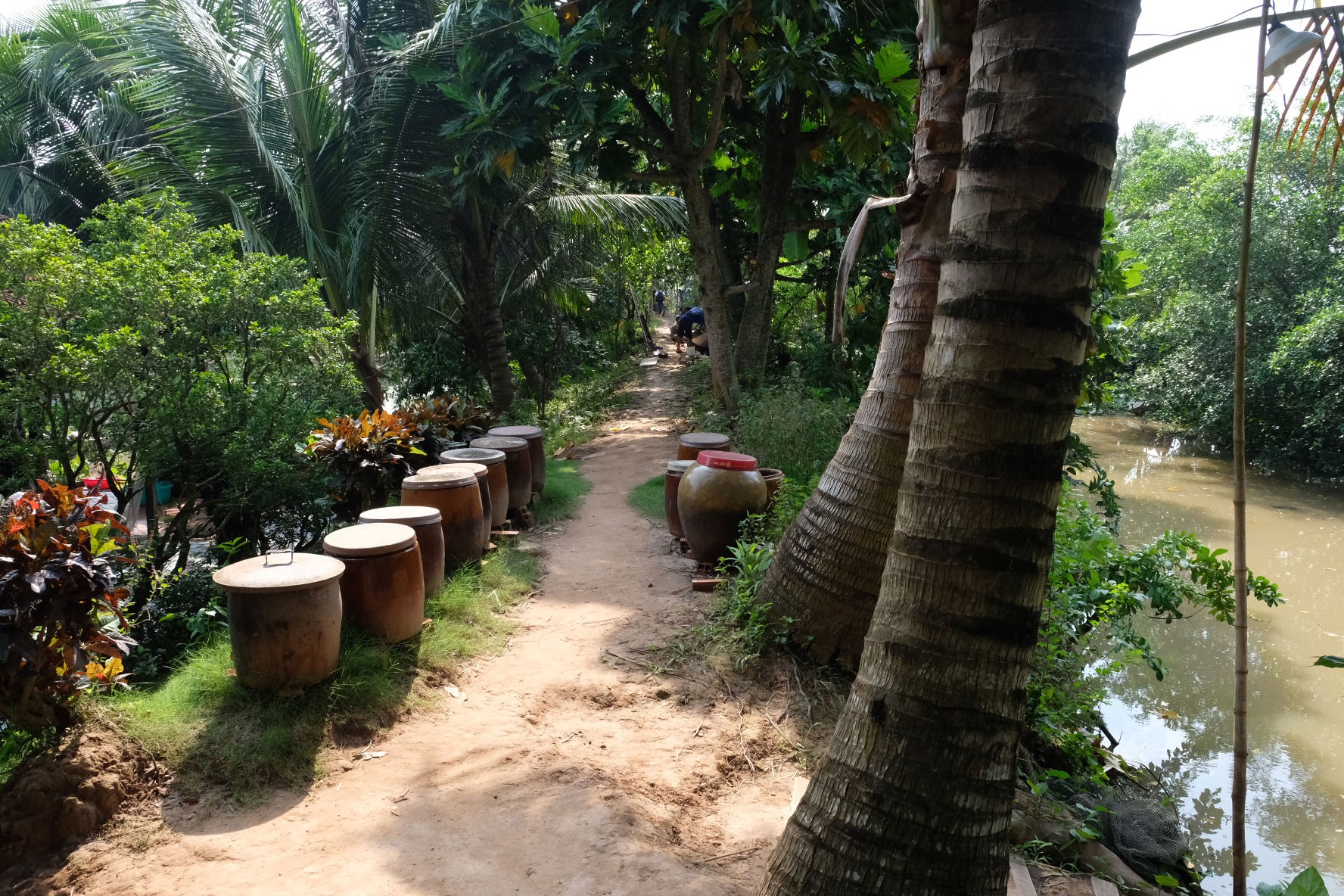 Lạc đến Cồn Sơn
