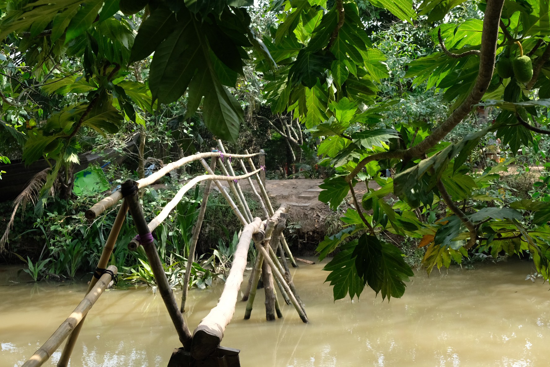 Lạc đến Cồn Sơn - Ảnh 2.