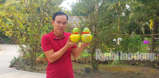 Ngắm 2 loại tr&aacute;i c&acirc;y tạo h&igrave;nh &ldquo;độc lạ&rdquo; đ&oacute;n Tết Nguy&ecirc;n đ&aacute;n 2019 - Ảnh 10.