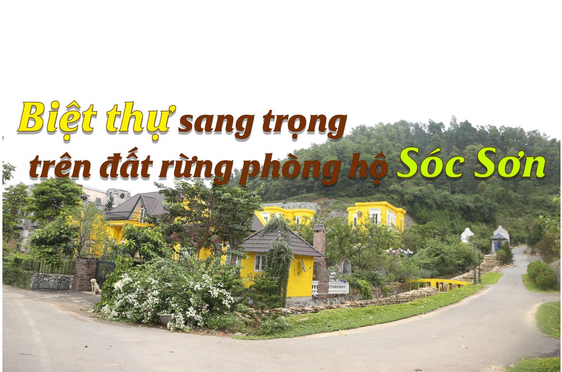 (Video) - Ai là chủ nhân những biệt thự sang trên đất rừng phòng hộ Sóc Sơn?
