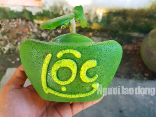 Ngắm 2 loại tr&aacute;i c&acirc;y tạo h&igrave;nh &ldquo;độc lạ&rdquo; đ&oacute;n Tết Nguy&ecirc;n đ&aacute;n 2019 - Ảnh 2.