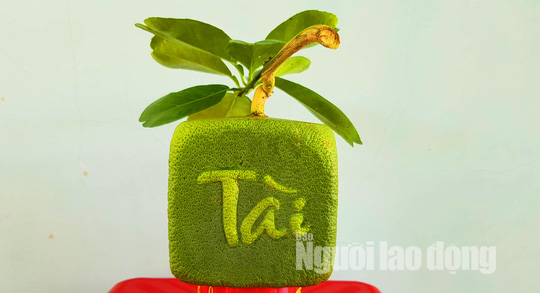 Ngắm 2 loại tr&aacute;i c&acirc;y tạo h&igrave;nh &ldquo;độc lạ&rdquo; đ&oacute;n Tết Nguy&ecirc;n đ&aacute;n 2019 - Ảnh 4.