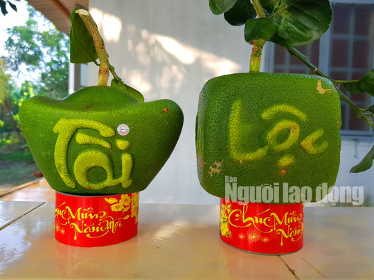 Ngắm 2 loại tr&aacute;i c&acirc;y tạo h&igrave;nh &ldquo;độc lạ&rdquo; đ&oacute;n Tết Nguy&ecirc;n đ&aacute;n 2019 - Ảnh 7.