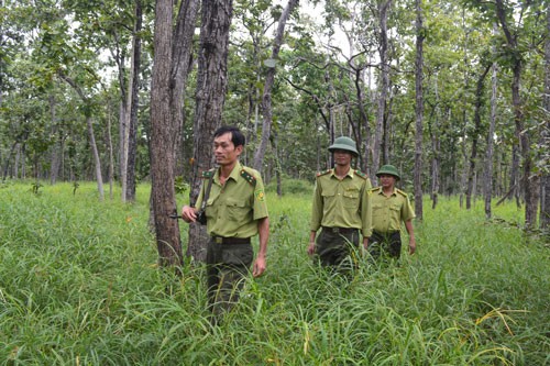 Gian nan cuộc chiến chống săn trộm