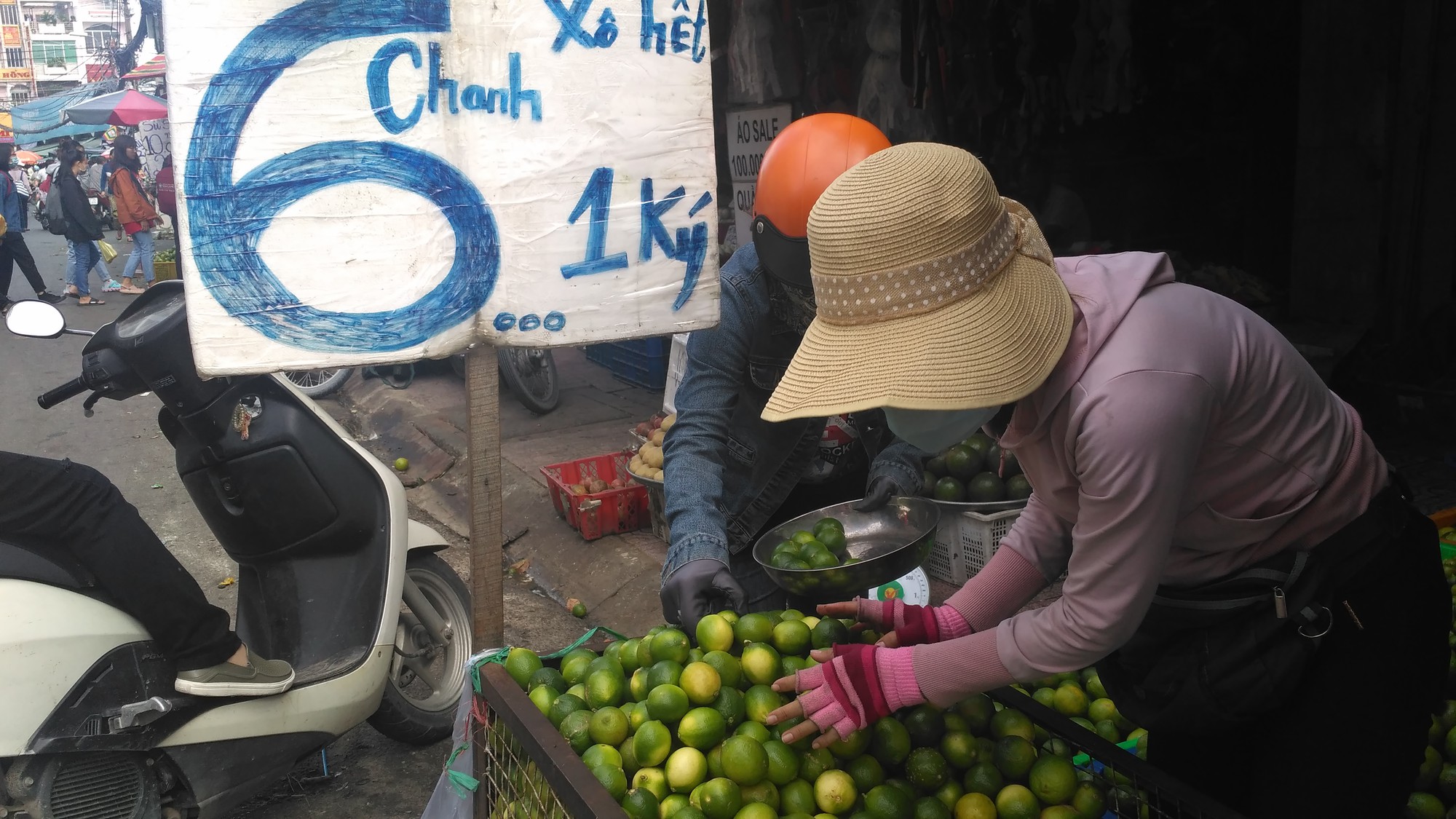 Giá chanh rớt mức thấp nhất trong năm