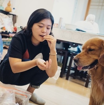 Chó mèo chịu vạ lây trong cuộc chiến thương mại Mỹ - Trung