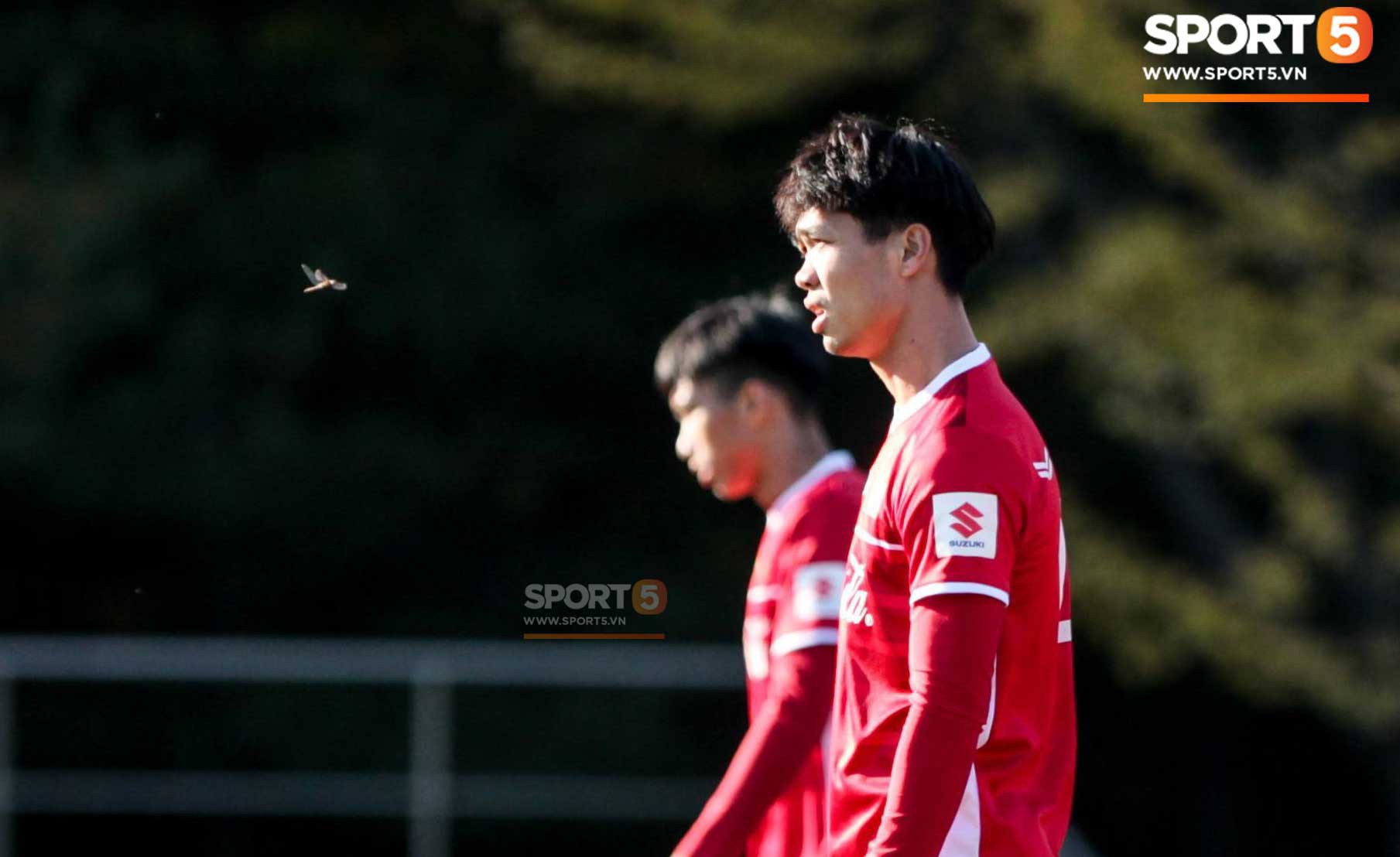 Thấy gì qua cách HLV Park Hang-seo dùng Công Phượng ở trận thắng Seoul FC