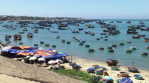 T&igrave;m c&aacute;ch cứu du lịch Mũi N&eacute; - Ảnh 1.