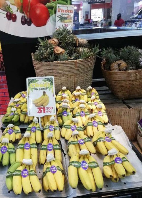 Đỏ mắt tìm trái cây organic Việt