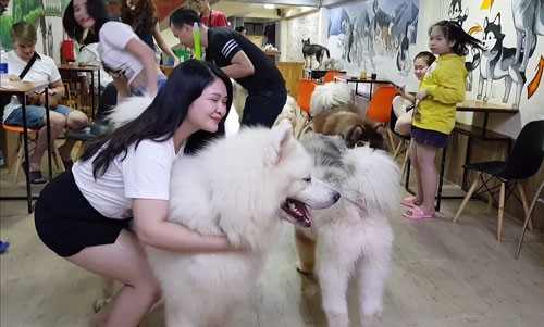 Rợn người với cà phê thú cưng