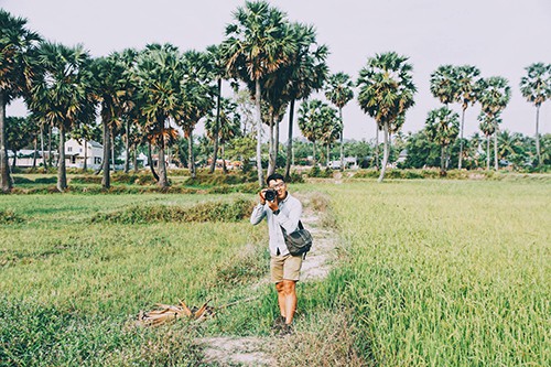 V&igrave; sao c&acirc;y thốt nốt hấp dẫn kh&aacute;ch đến An Giang - Ảnh 2.