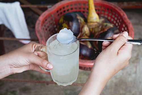 V&igrave; sao c&acirc;y thốt nốt hấp dẫn kh&aacute;ch đến An Giang - Ảnh 3.