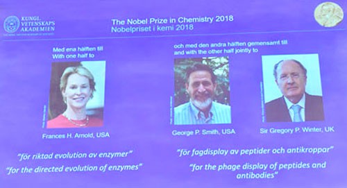 Nobel Hóa học 2018: Nghiên cứu mở đường về protein