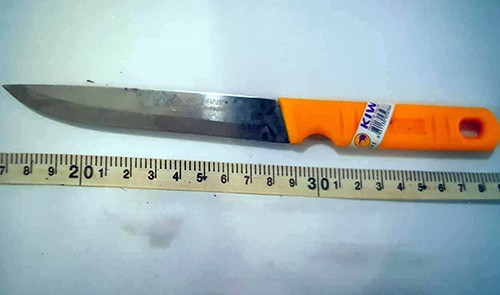 Hai thiếu nữ dụ thanh niên đi tăng hai rồi sát hại - Ảnh 2.