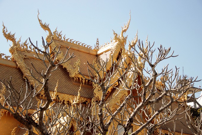 Nhà vệ sinh công cộng đẹp như cung điện dát vàng - Ảnh 5.