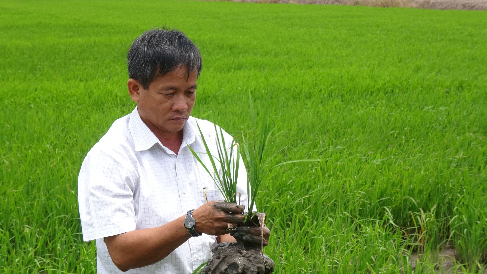 Nông dân bám đất làm giàu