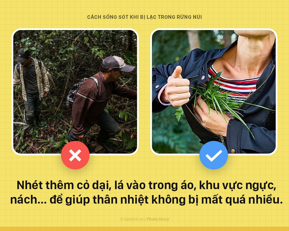 Mẹo sinh tồn ai cũng n&ecirc;n biết nếu bị lạc trong rừng - Ảnh 4.