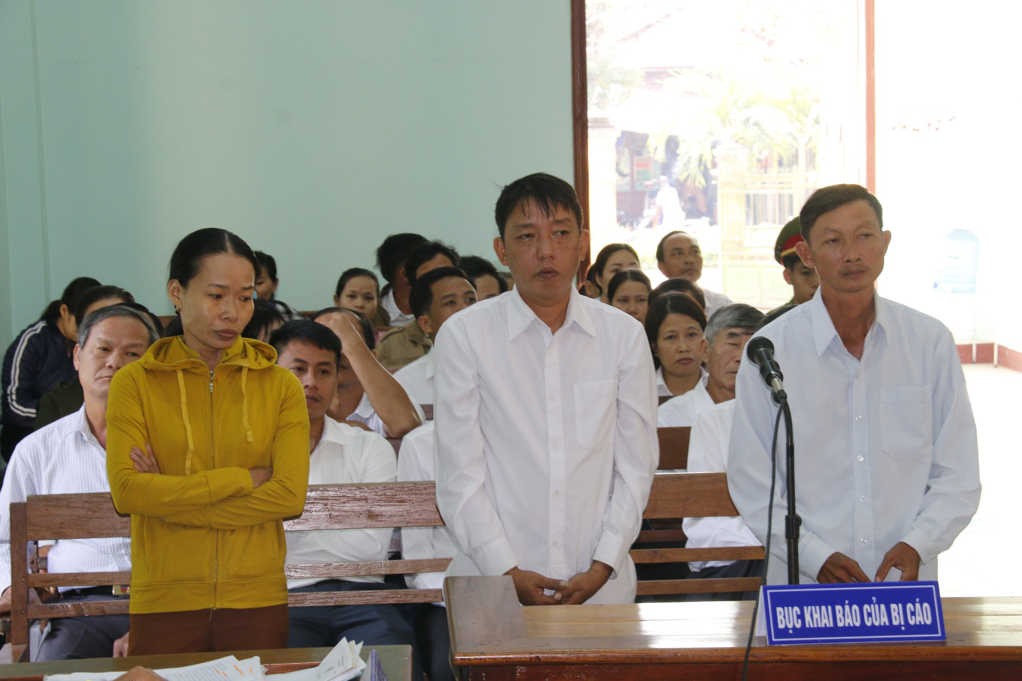 Xét xử cán bộ kiểm lâm liên quan vụ phá rừng phòng hộ - Ảnh 1.