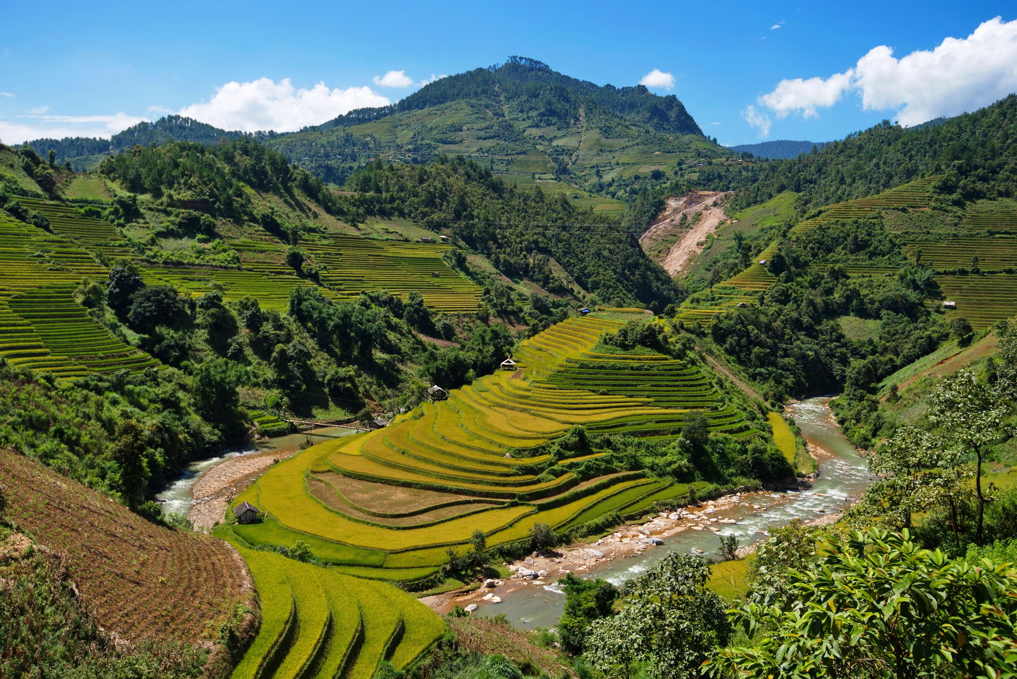 Rộn ràng mùa vàng Tây Bắc