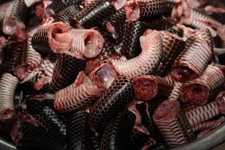 Đến miền T&acirc;y, thử ăn dồi rắn một lần sẽ nhớ m&atilde;i - Ảnh 2.