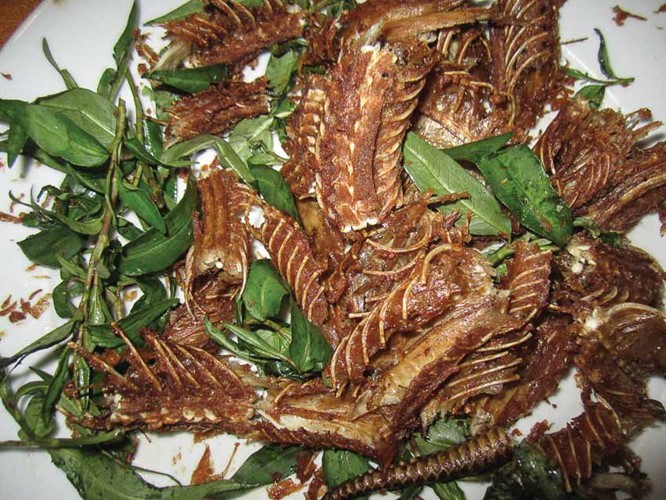 Đến miền T&acirc;y, thử ăn dồi rắn một lần sẽ nhớ m&atilde;i - Ảnh 9.