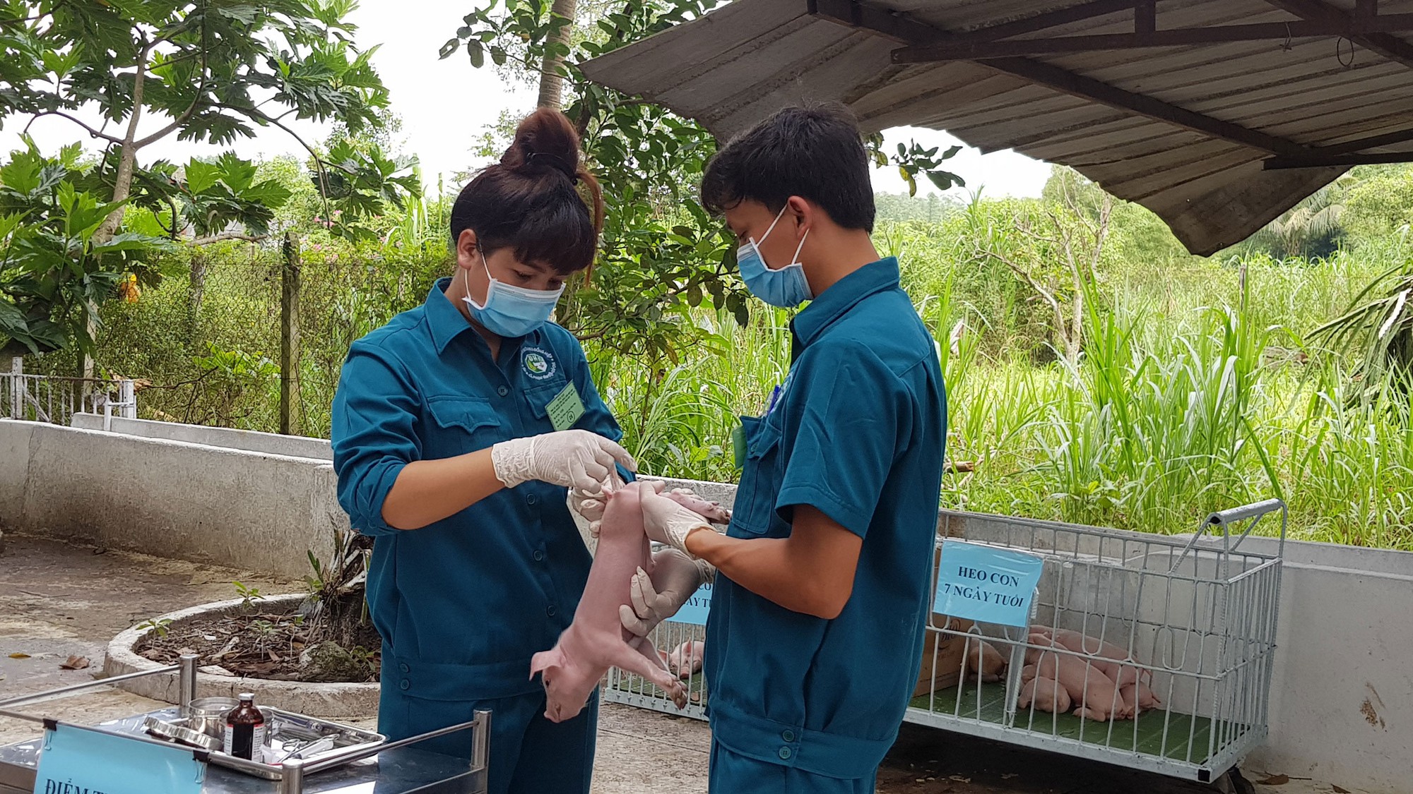 R&egrave;n nghề qua phong tr&agrave;o B&agrave;n tay v&agrave;ng - Ảnh 1.