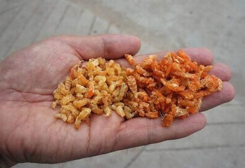Mẹo phân biệt tôm khô tự nhiên và tôm khô có hóa chất - Ảnh 1.